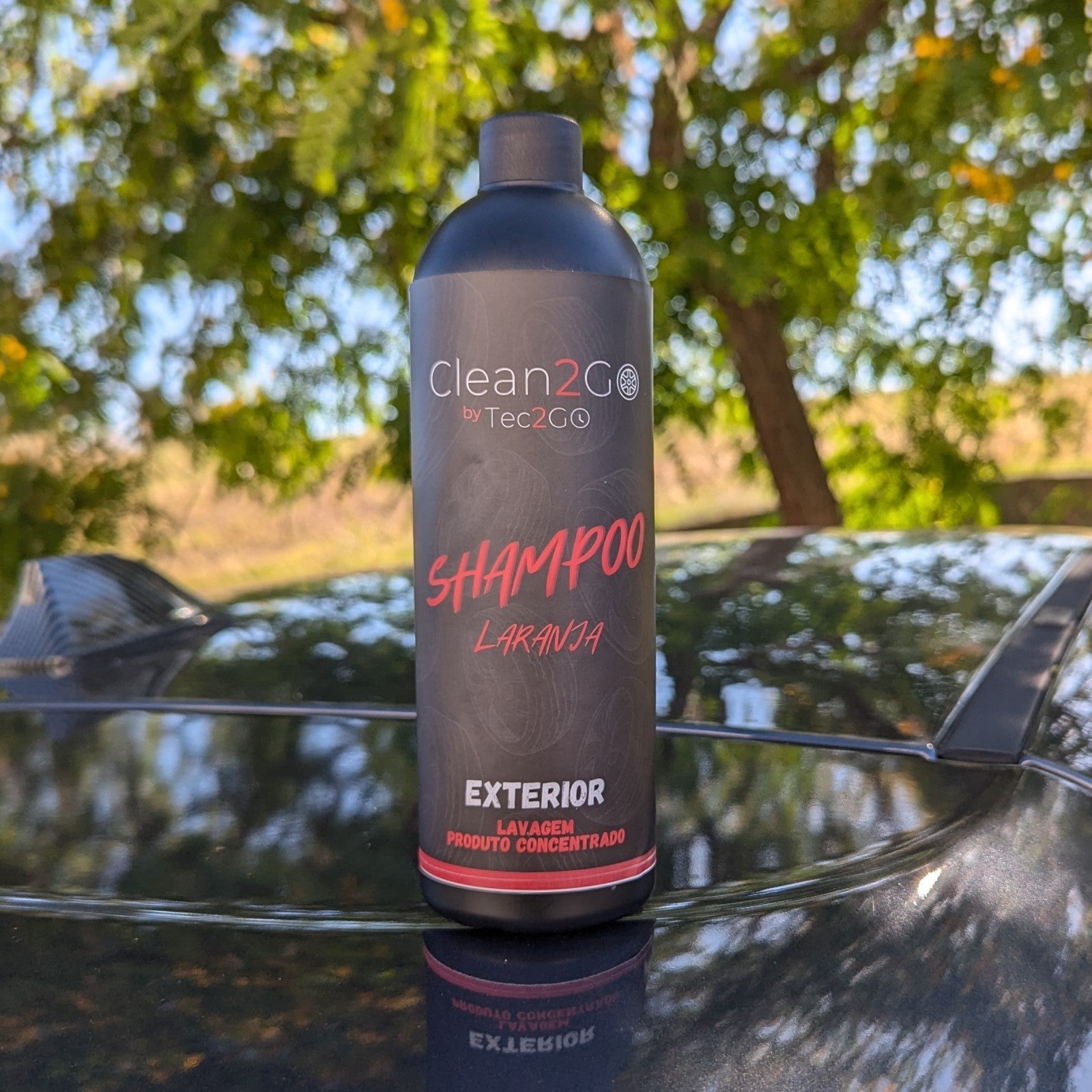 Produtos Premium de Limpeza Automotiva Sustentáveis: Qualidade para Veículos 45+ em Portugal